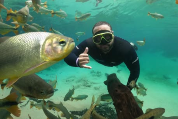 Dr. Aroldo Fernandes da Luz analisa a atuação jurídica em conflitos ambientais.