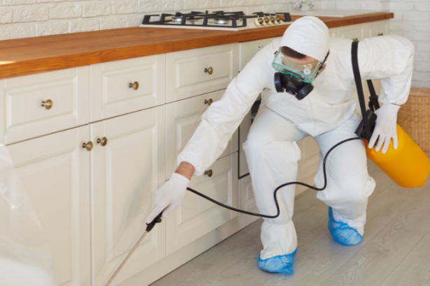 EBS - Empresa Brasileira de Saneamento LTDA mostra como a transformação digital aumenta a eficiência e reduz perdas no saneamento.